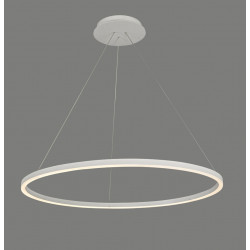 LED Ring Circle Suspended Pendant 80cm