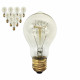 Filament Edison Bulb Globe E27 40W Shape D - 10 Pack